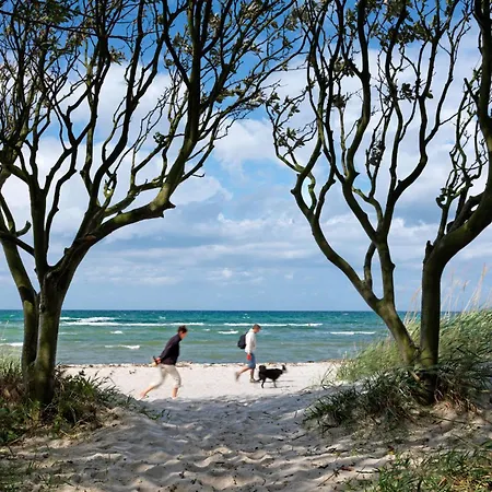 Gollwitzer Ferienidyll A07 19c Sturmmoewe * Gollwitz