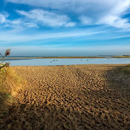 Gollwitzer Ferienidyll A07 19c Sturmmoewe Gollwitz